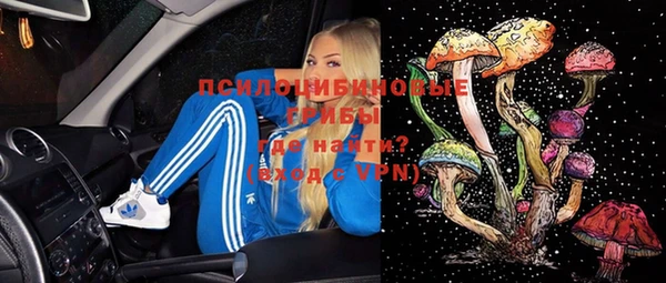 трава Верея